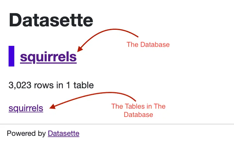 Local Datasette Index