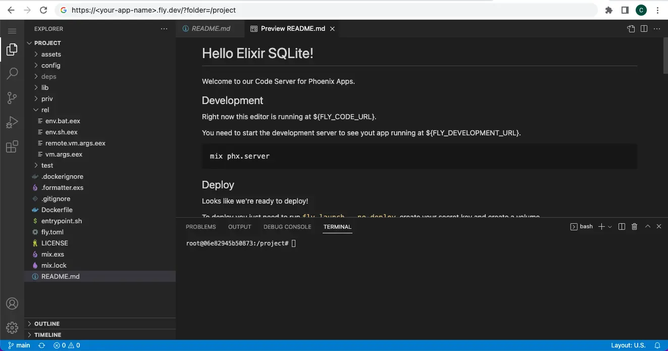 A code-server workspace, looking a lot like normal VS Code, with the files and terminal panels open.
