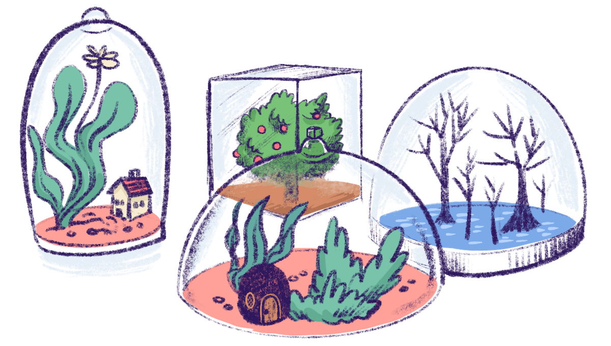 Illustration by Annie Ruygt of different envrionments under glass domes